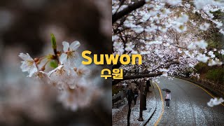 Suwon South Korea  Cinematic Travel Guide  Part Four [upl. by Ecyned494]