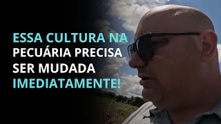 ESSA CULTURA NA PECUÁRIA PRECISA SER MUDADA  PROF MARCELO COSTA [upl. by Joel]