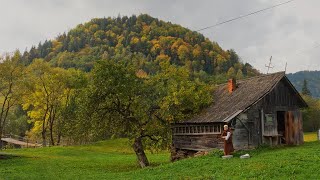 She Lives Alone in the Mountains — A Hidden Life in Stunning Isolation [upl. by Schaaff195]