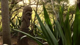 Visite du Centre culturel Tjibaou NouvelleCalédonie [upl. by Nnednarb]