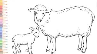 🐑sheepandbaby sheep outline and colouringhow to draw a sheep and lampstep bystepBeyantKaurr4unik [upl. by Lainahtan344]