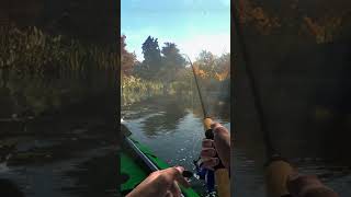 Nice Redfin fishing fishingplanet fypシ゚viral fypyoutube fypyoutube pcgaming [upl. by Warrin]