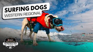 Incredible Dog Challenge Dog Surfing Western Regional  NBC Sports [upl. by Venice]