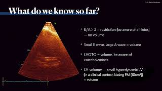 〖Ultrasound〗 ICU amp volume status 💘 💫 [upl. by Enerod872]