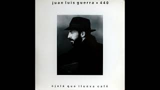 Juan Luis Guerra  Ojala Que Llueva Cafe  1989 [upl. by Hamrah]