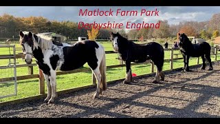 Walking Tales  Matlock Farm Park Children Park Derbyshire EnglandHindi Urdu Vlog اردو [upl. by Nabroc]