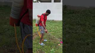 Kalupu mokkaltho kalupu mokkanii champadham yelaa weedicide trendingshorts viralshort [upl. by Epps]