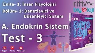 Test  3  Endokrin Sistem  Endokrin Bez Hormonları Tiroit Paratiroit Böbrek Üstü Bezleri [upl. by Massiw]