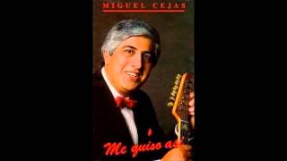 Miguel Cejas  tengo un amigo [upl. by Artap501]