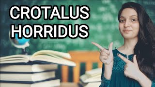 CROTALUS HORRIDUS HOMOEOPATHIC MEDICINEEXPLAINED WITH ALLEN KEYNOTES DRDEEKSHA [upl. by Nilekcaj]