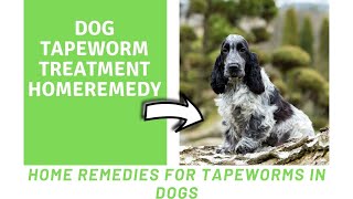 Dog tapeworm treatment home remedy  Home Remedies for Tapeworms in Dogs [upl. by Nelram302]