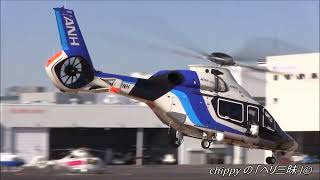 AIRBUS H160 cn1004 mass production first plane Takeoff ANHAll Nippon Helicopter JA01NH [upl. by Nanor]