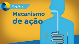 Lactulona  Mecanismo de ação [upl. by Esinehc]