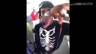 Playboi Carti  Cancun without beat RARE [upl. by Llet61]