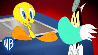 Looney Tunes  Tweety at the Doctors 😷  WB Kids [upl. by Llerahs]