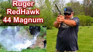 Ruger RedHawk 44 Magnum with a 75” Barrel  First Range Day [upl. by Dupin]