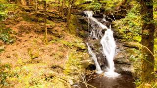 quotInversnaidquot by Gerard Manley Hopkins read by Tom OBedlam [upl. by Yror]