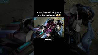 halo haloinfinite halotmcc alien alienromulus xbox videojuegos haloclips [upl. by Ettenyl]