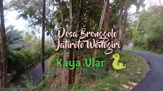 Extrem Jalan Desa Pelosok Wonogiri [upl. by Derfiniw]