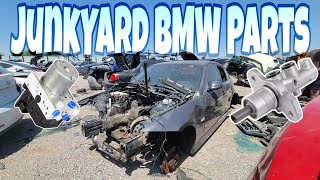 Searching The Junkyard For Parts In Order To Save My Project E39 M5 [upl. by Ahcsas]