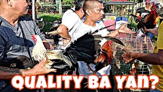 Eksena dito sa Tianggehan sa Bocaue Part 8 Mamaw daw mga manok dito [upl. by Ariahay790]