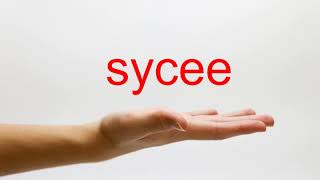 How to Pronounce sycee  American English [upl. by Annocahs191]