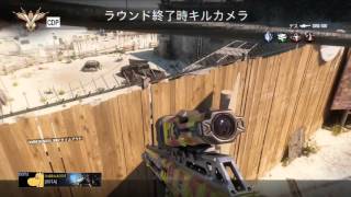 cod bo3 スナイパー神プレイpart3 [upl. by Trstram]