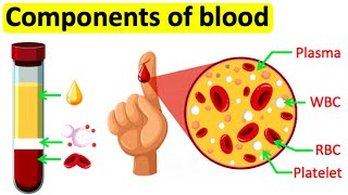 Components of blood  RBC WBC Plasma amp Platelets  Easy science lesson [upl. by Egnalos]