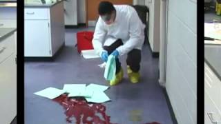 How to Clean up a Blood Spill [upl. by Haleigh]