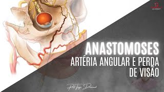 Anastomoses artéria angular e perda de visão [upl. by Vizza]