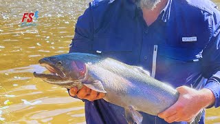 Nailing Big Steelhead on Jig amp Maggot  Trout Fishing [upl. by Elleoj562]