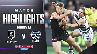 Port Adelaide v Geelong Cats Highlights  Round 14 2023  AFL [upl. by Autrey796]