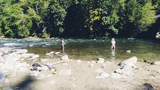 Quinsam River Fishing  Campbell River [upl. by Jackson]