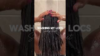 Washing my locs is the best reset 🫧✨washday locs womenwithlocs locjourney starterlocs [upl. by Willette]