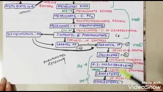 Cholesterol synthesis in hindi with the trick cholesterolsynthesis [upl. by Nus923]