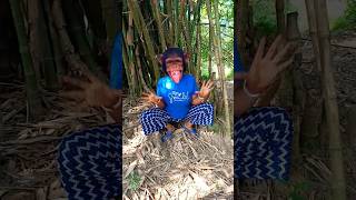 বাঁশ বাগানে কি😱😱😱 funny comedy monkey freefireshortstory banglacratoon comedyvideos [upl. by Anglo752]