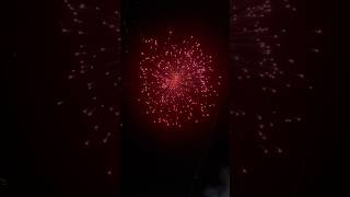 𝙋𝙄𝙉𝙆 𝘿𝙄𝘼𝙈𝙊𝙉𝘿𝙎 🎆💥 𝘼𝙉𝘼𝙉𝘿𝘼𝙎  diwali2024 fireworks crackers deepawali [upl. by Enalb]