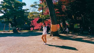 Japanese Garden in Tokyo  Koishikawa Korakuen Gardens in Autumn [upl. by Neerihs]