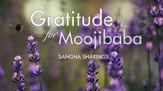 Sangha Sharings — Gratitude for Moojibaba [upl. by Capp]