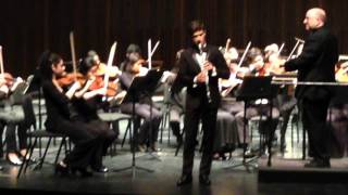 MozartClarinet Concerto Movement 1 [upl. by Nimaj]