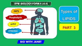 SPM BIOLOGY FORM 4 44 TYPES OF LIPIDS FUNCTIONS PART 3 KSSM BIOLOGY [upl. by Burman]