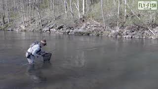 Fly Fishing  Esopus Creek May 10th 2020 [upl. by Githens]