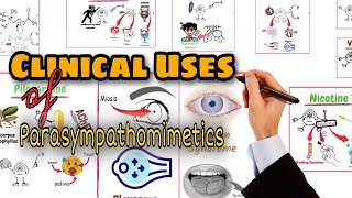 Parasympathomimetics Clinical Uses amp Classification of Direct Acting Cholinergic Drugs [upl. by Colvert]