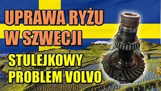 CZY W SZWECJI ROĹšNIE RYĹ»  SĹABY WAĹEK I PROBLEM Z TULEJKÄ„ VOLVO XC70 III [upl. by Frolick]