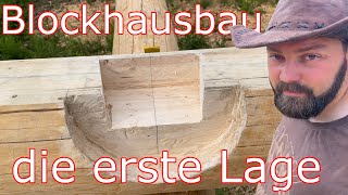 Blockhausbaudie erste Stammlage [upl. by Adiela]