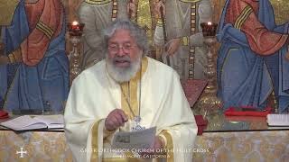 Homily by Fr Peter Salmas on this the Fifth Sunday of Luke [upl. by Ynamreg]