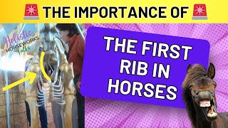 The Importance of the First Rib in Horses  Holistic Horseworks Talks [upl. by Charles]