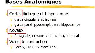 Systeme limbique [upl. by Enoid]