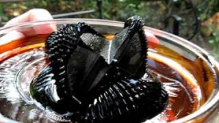 Fun with Ferrofluid [upl. by Nivrehs]