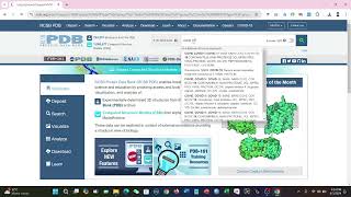 Introduction of Protein Data Bank PDB for searching protein [upl. by Nnyladnarb]